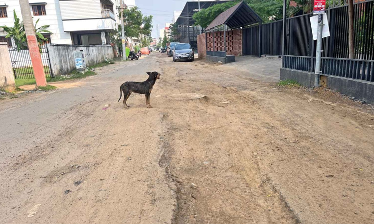 Chennai Citizen Connect: Complete road repair works before next spell, urge Puthagaram locals