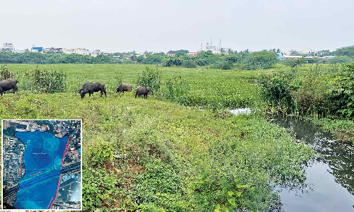 WRD proposes Rs 12 cr-revamp for Puthagaram lake