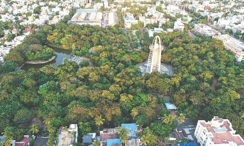 Megapolis Chennai: Prevent heat trap with a canopy of trees