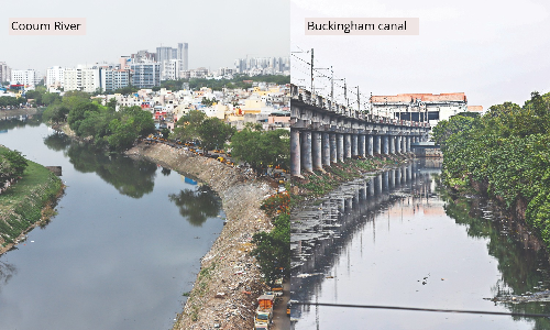 Megapolis Chennai: Make rivers breathe again