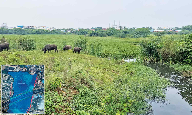 WRD proposes Rs 12 cr-revamp for Puthagaram lake WRD proposes Rs 12 cr-revamp for Puthagaram lake