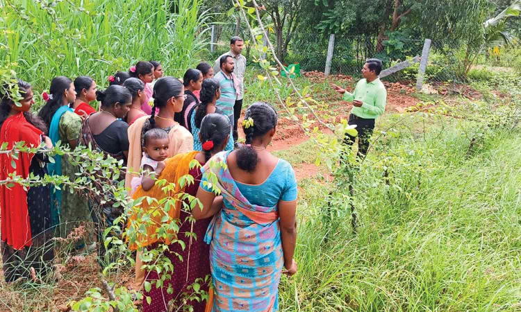 Hands-on dairy training sparks entrepreneurship in rural TN Hands-on dairy training sparks entrepreneurship in rural TN