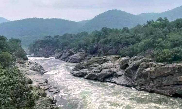 Strong plea can save TNs Cauvery water rights: Experts