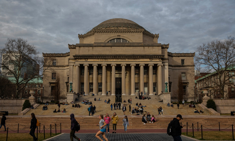 New international student enrolments plummeted this fall, survey finds