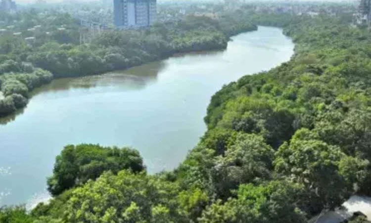 Chennai: Techie leaps into Adyar river due to work stress; rescued Chennai: Techie leaps into Adyar river due to work stress; rescued