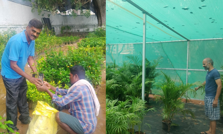 Residents flock to Guindy Eco Park’s horticulture hub for affordable, quality plants Residents flock to Guindy Eco Park’s horticulture hub for affordable, quality plants