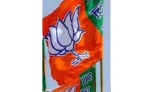 Burning of PM’s effigy: Invoke NSA, says BJP