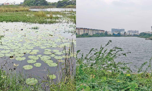 Restoration works worth Rs 29 cr begin at 2 major ponds in Sholinganallur