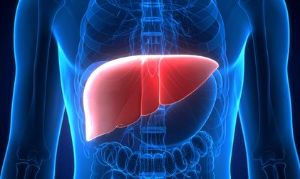 India a pioneer in living donor liver transplantation
