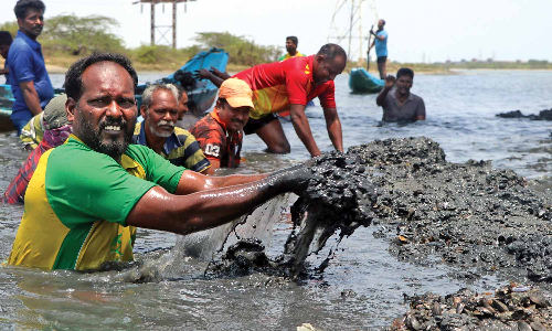 Dredging to remove Charru mussels may disrupt Kosasthalaiyar aquatic system, warns study