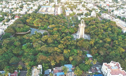 TN to hold tree census in Chennai, 5 other major cities