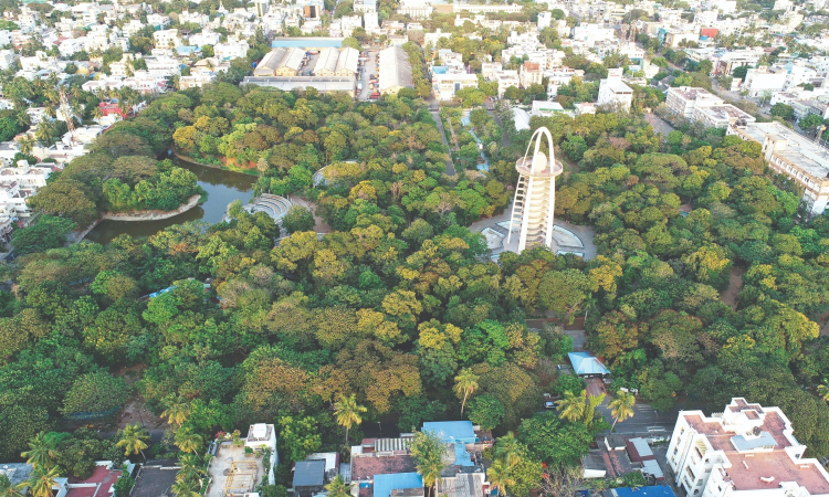 TN to hold tree census in Chennai, 5 other major cities