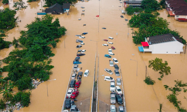 Death toll from floods in Thailand reach 145 as receding water reveals widespread damage