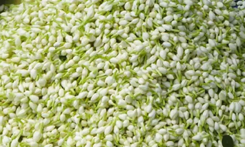 Jasmine price doubles overnight in Erodes Sathyamangalam market