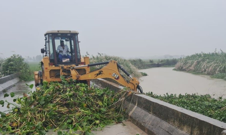 Azhivaikkal drains cleared of water lilies as PWD prepares for rainwater flow