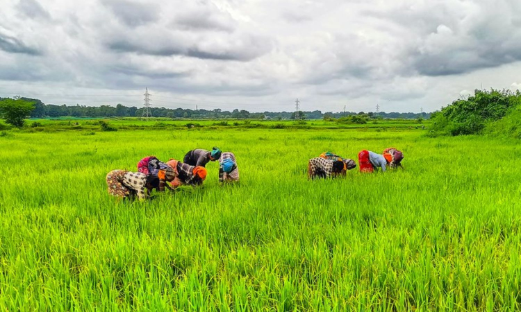 Centre must pitch in to help TN duty-bound to hike aid: Left parties