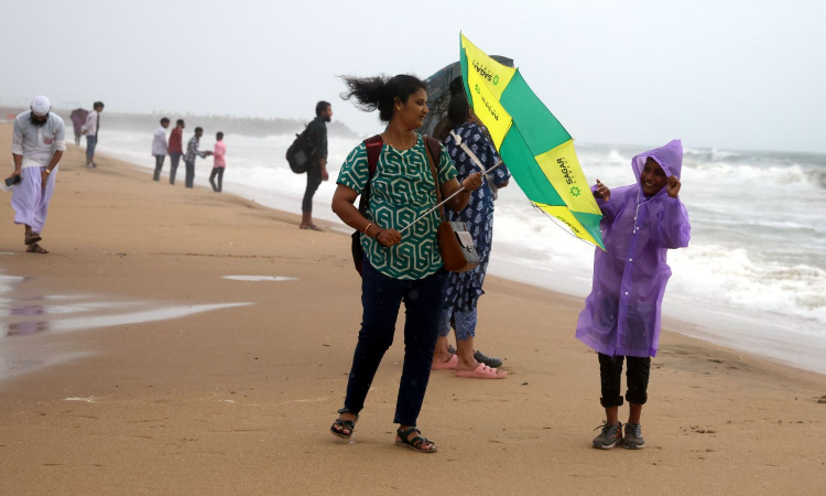 TNPDCLs slew of measures in wake of Ditwah