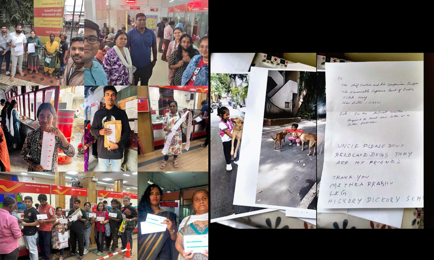 Over 1.5L from TN write to SC seeking recall of dog removal order