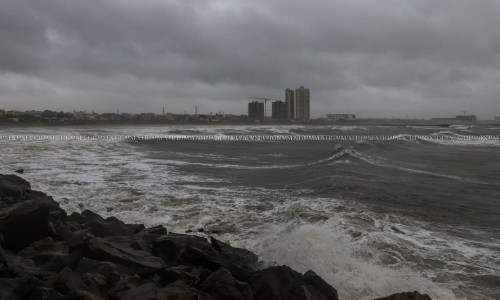 TN farmers reel under cyclone Ditwahs fury, thousands of acres submerged: Inbadurai