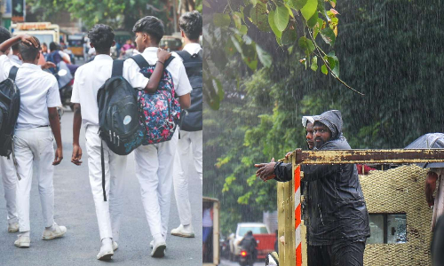 Chennai, Chengalpattu, Kancheepuram, Tiruvallur declare rain holiday on Dec 2