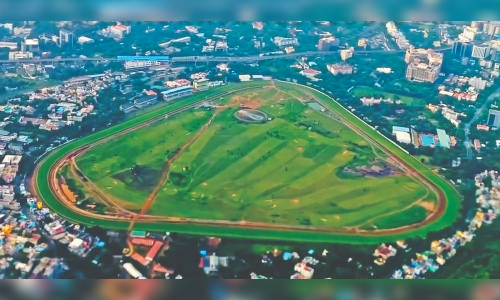 Madras HC nod for ponds, eco-park on MRC land in Guindy