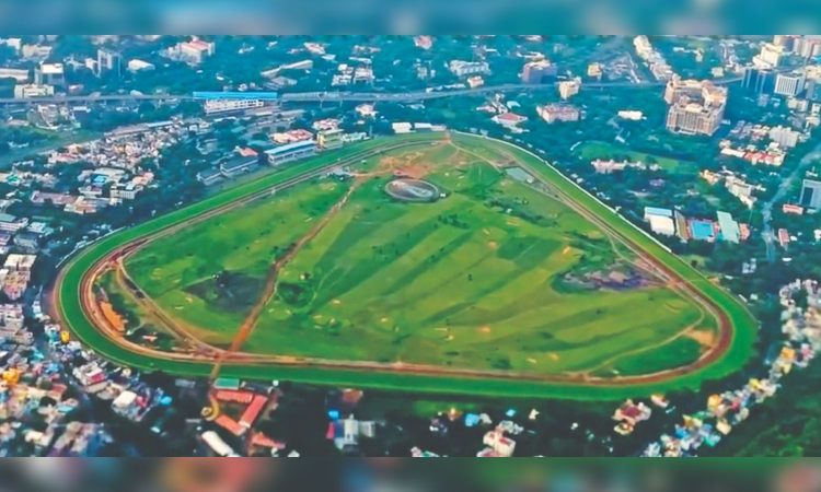 Madras HC nod for ponds, eco-park on MRC land in Guindy