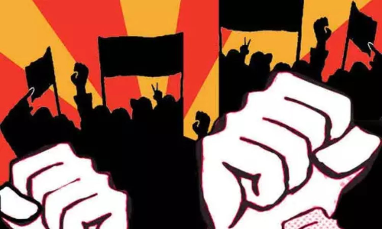 Co-ops face heat over nano manure push