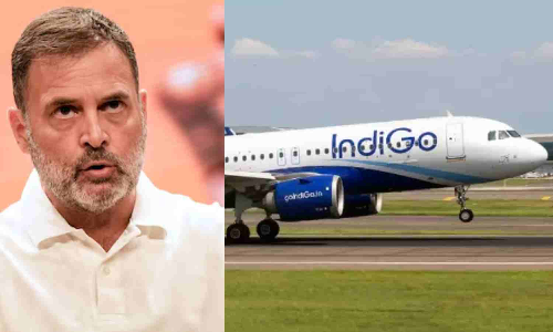 IndiGo fiasco cost of govts monopoly model: Rahul
