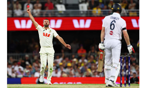 Mitchell Starc torments England with the bat and ball in 2nd Ashes test Mitchell Starc torments England with the bat and ball in 2nd Ashes test