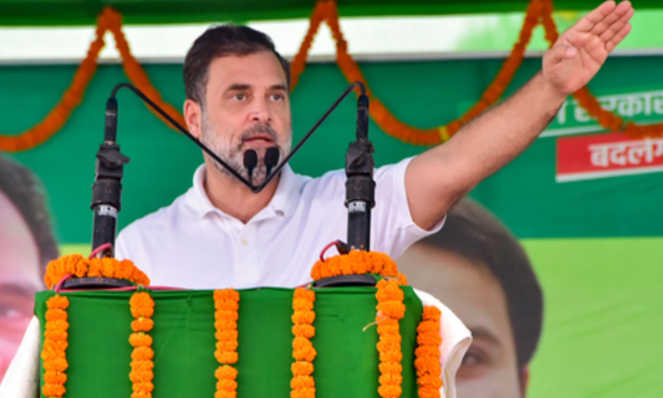 TN BJP demands Rahul Gandhi’s apology over ‘vote theft’ allegations in Bihar polls