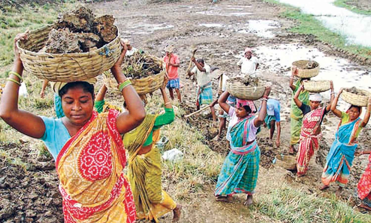 MGNREGA rejig to cost TN up to Rs 4,000 crore MGNREGA rejig to cost TN up to Rs 4,000 crore