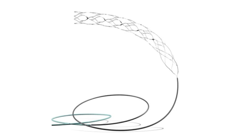 AIIMS-led trial on most advanced brain stent shows promise for stroke patients AIIMS-led trial on most advanced brain stent shows promise for stroke patients