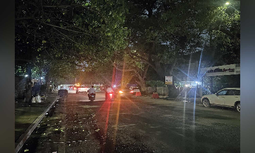 Chennai Citizen Connect: Clear branches blocking street lights on Sterling Avenue, urge motorists Chennai Citizen Connect: Clear branches blocking street lights on Sterling Avenue, urge motorists