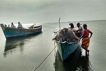 4 Tamil Nadu fishermen arrested by the Sri Lankan Navy