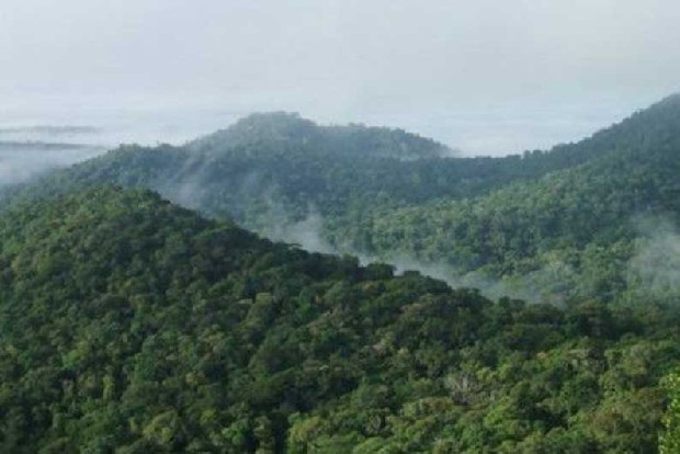 Forest dept plans to erect awareness boards around 14-km girivalam path Forest dept plans to erect awareness boards around 14-km girivalam path