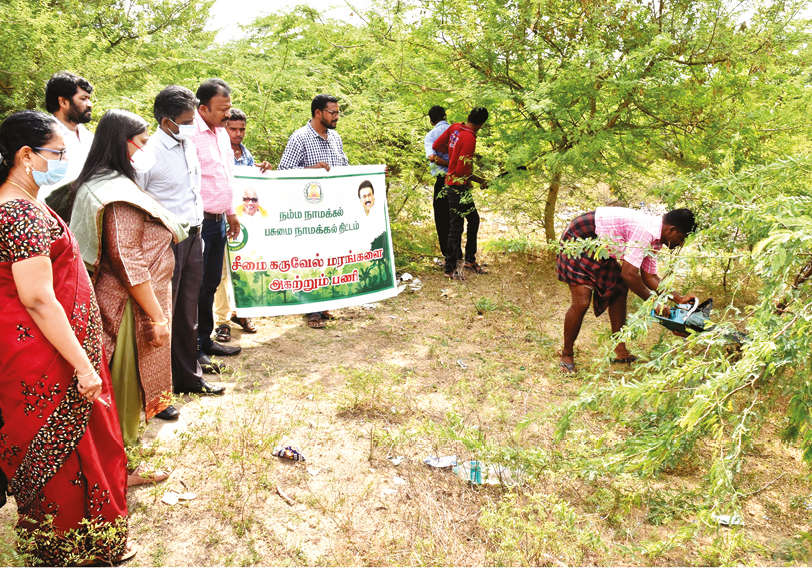Seemai karuvelam trees removed from Aroor lake