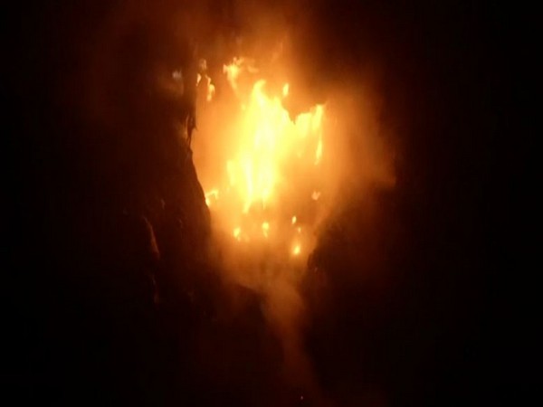 36 hours on, firefighting at Delhis Bhalswa landfill site continue