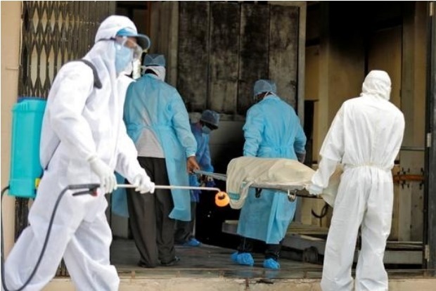 Deciphering the Covid death toll