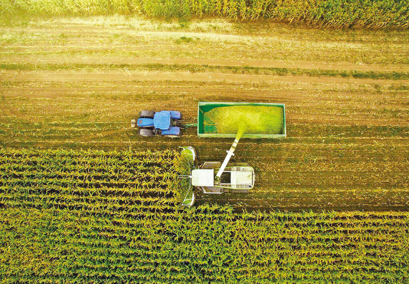 Food, fertiliser sufficiency compromised