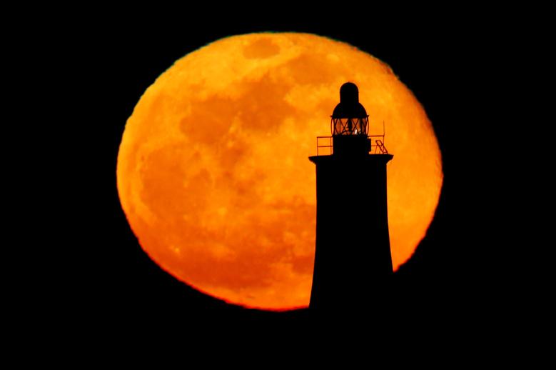 Aprils pink moon to be visible this week: Things to note