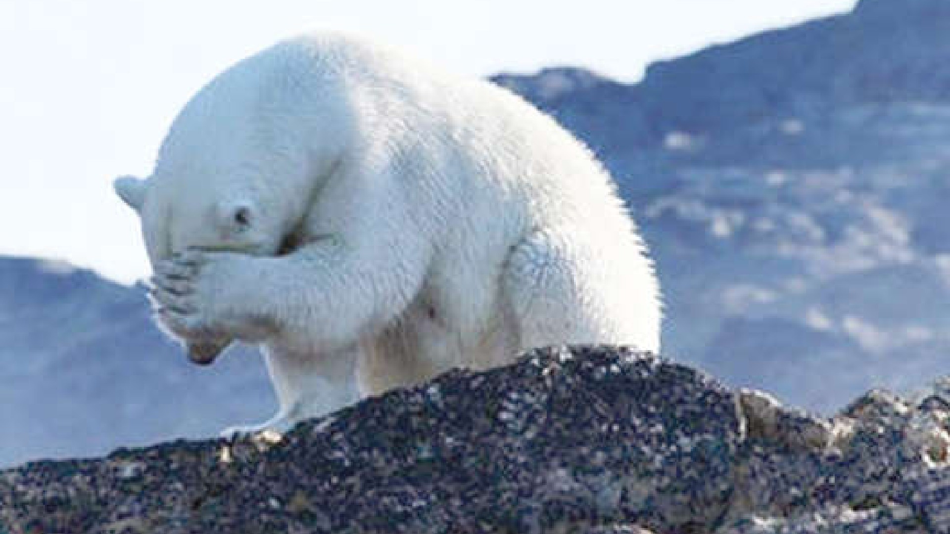 Eco-anxiety comes knocking at the door Eco-anxiety comes knocking at the door