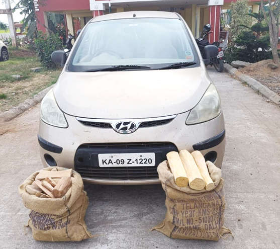Trio held for possession of sandalwood worth Rs 10L Trio held for possession of sandalwood worth Rs 10L
