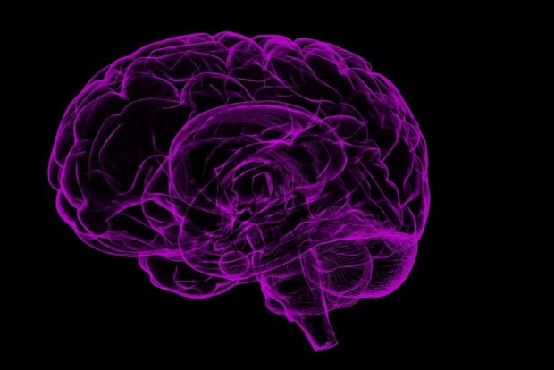 Study reveals Covid’s lingering impacts on brain