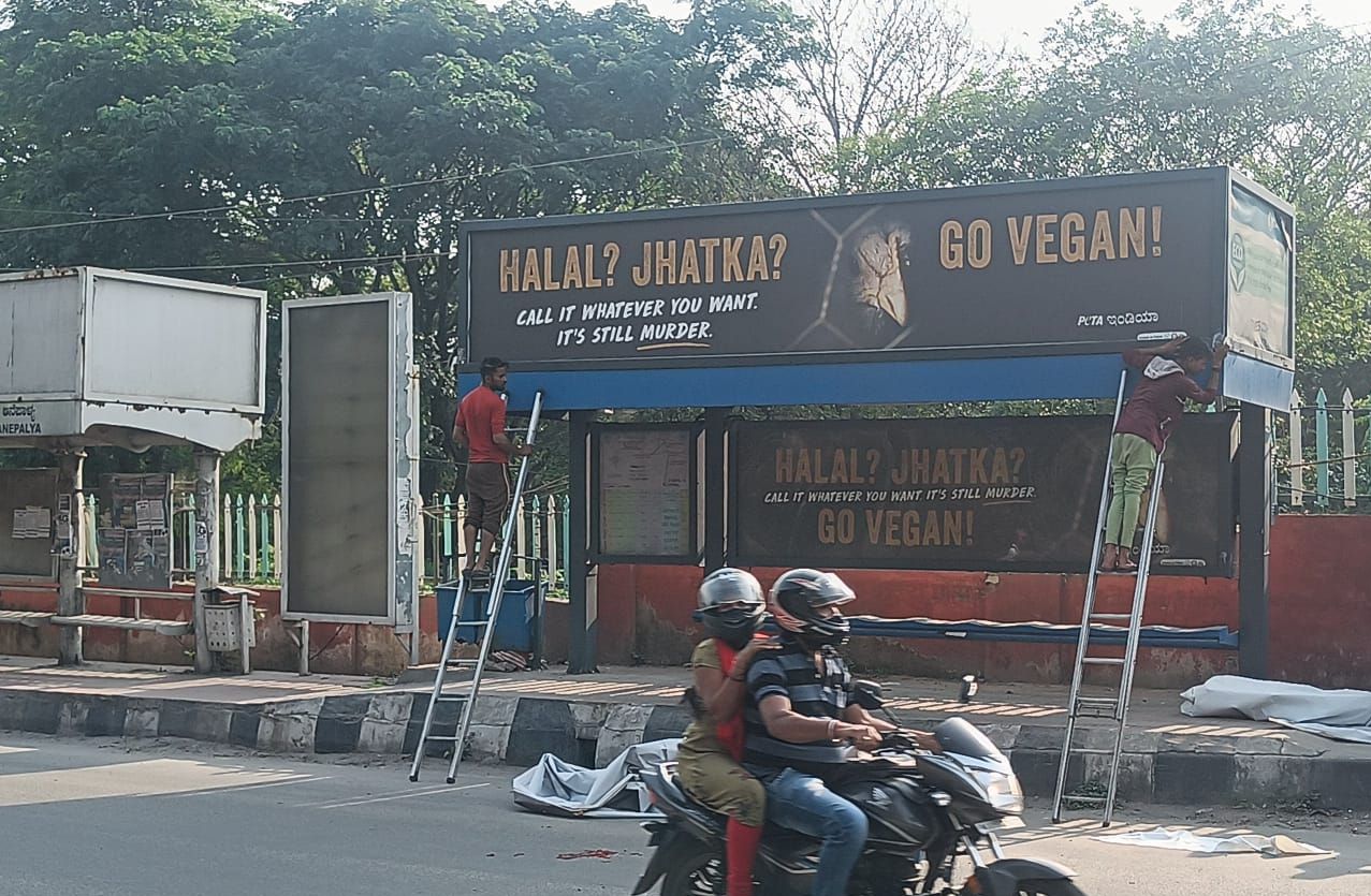 PETA says go vegan amid halal row in Karnataka