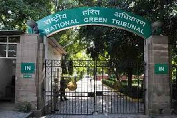 NGT allows Auroville to complete Crown Road