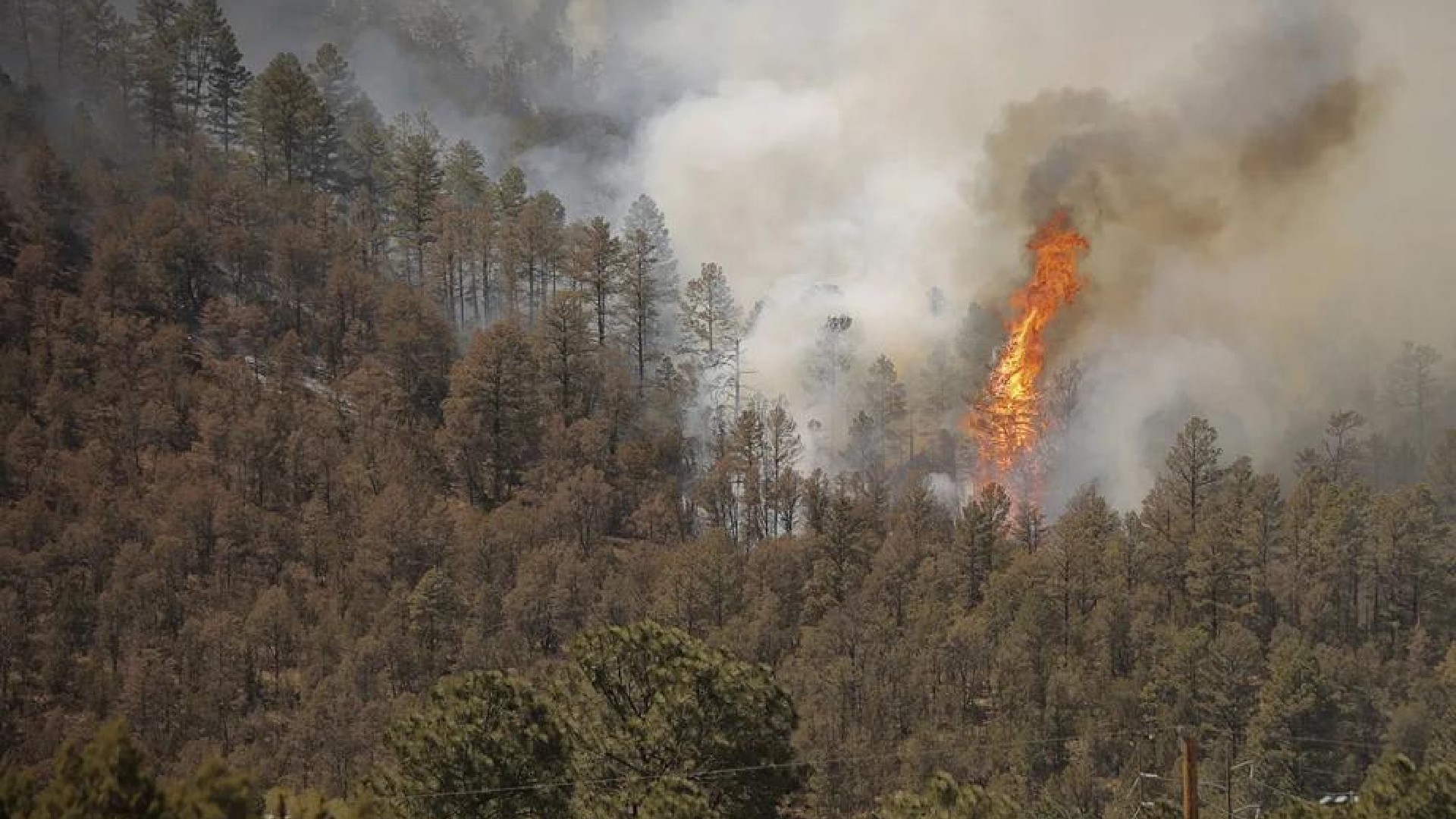2 dead, more than 200 homes charred in New Mexico wildfire