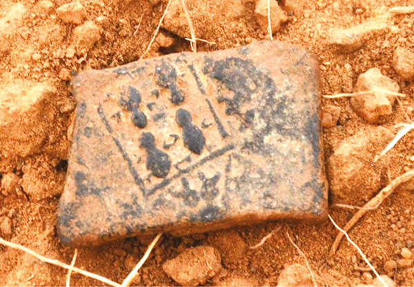 Adichanallur coins find suggests early habitation