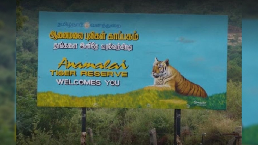 Tribal hamlet in dark as Tangedco insists payment from forest dept Tribal hamlet in dark as Tangedco insists payment from forest dept