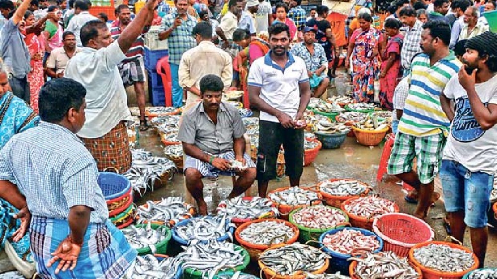 Surge in seafood price impacted sale at Kasimedu market Surge in seafood price impacted sale at Kasimedu market