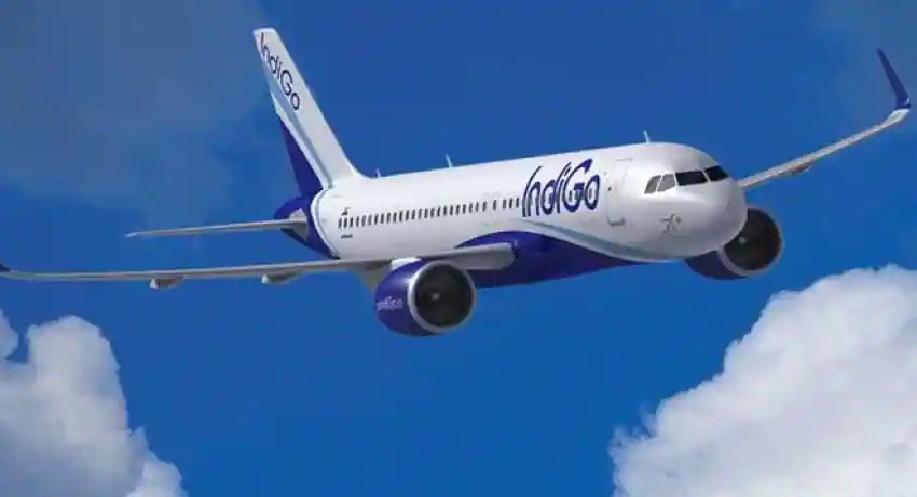 IndiGo names Pieter Elbers as new CEO, Dutta to retire on Sept 30